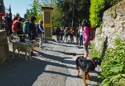 05 siamo in 19